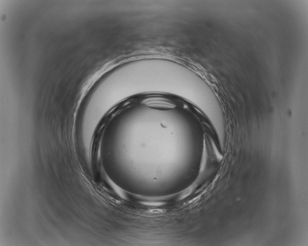 X0000087590248200704271314