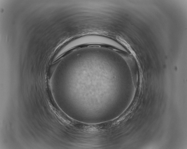 X0000087590249200704271314