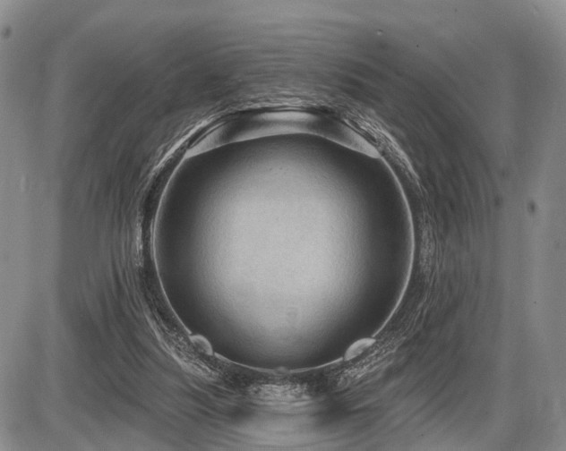 X0000087590251200704271314