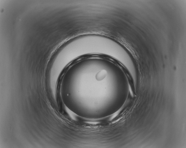 X0000087590252200704271314