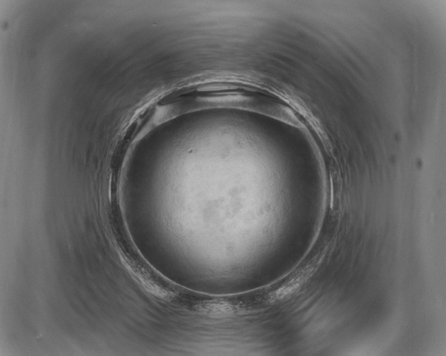 X0000087590253200704271314