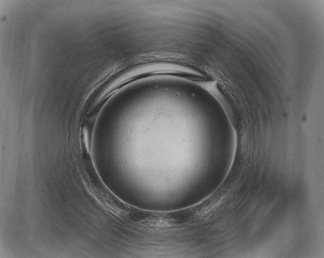 X0000087590254200704271314