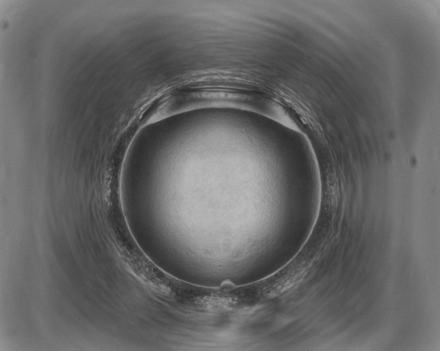 X0000087590255200704271314