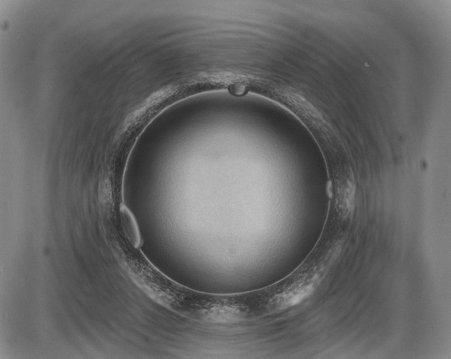 X0000087590256200704271314