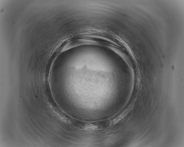 X0000087590257200704271314