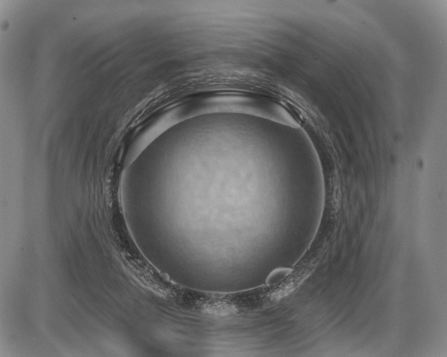 X0000087590258200704271314