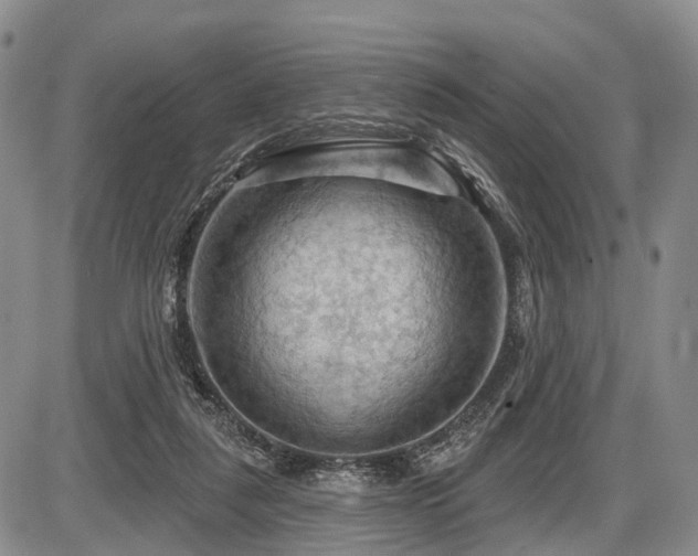 X0000087590259200704271314