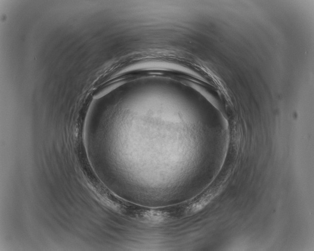 X0000087590261200704271314