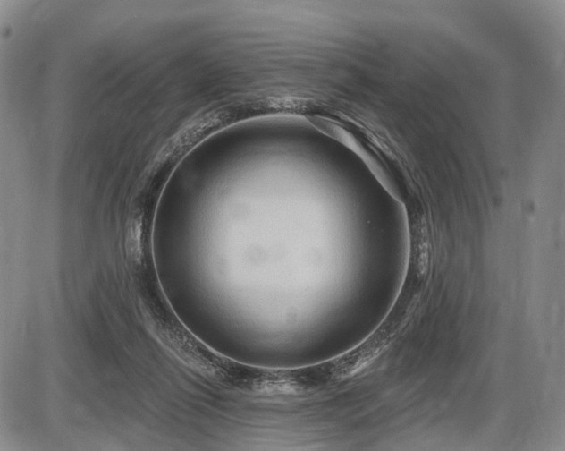 X0000087590262200704271314