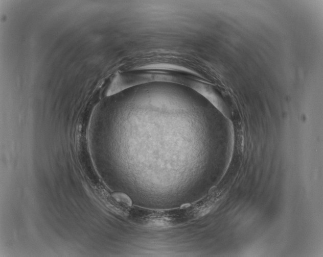 X0000087590263200704271314