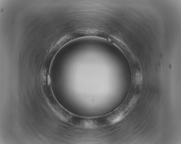 X0000087590264200704271314