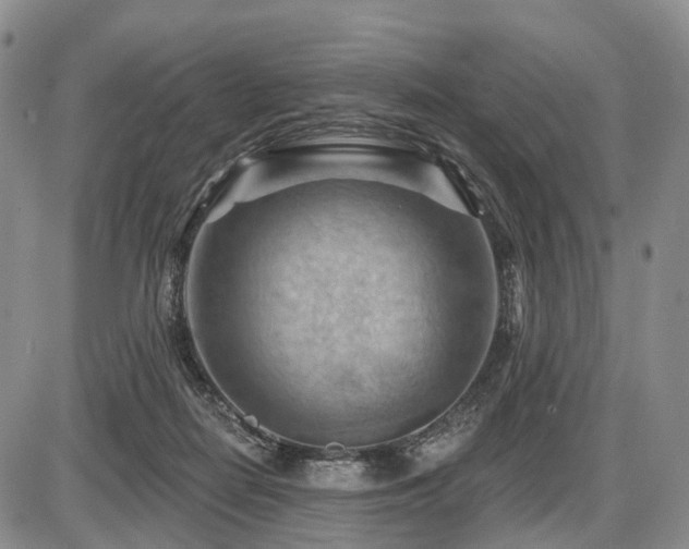 X0000087590266200704271315