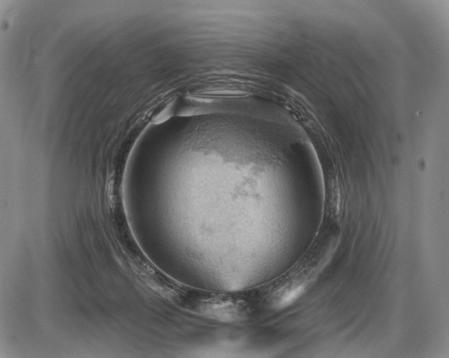 X0000087590267200704271315