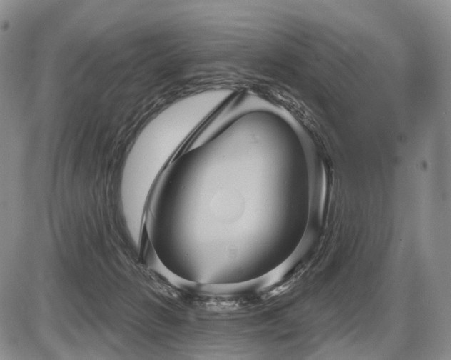 X0000087590270200704271315