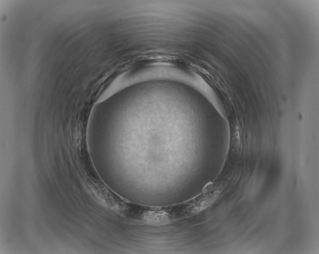 X0000087590271200704271315