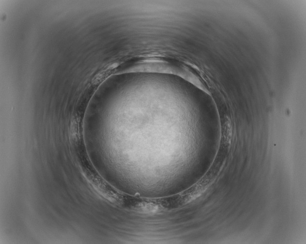 X0000087590272200704271315