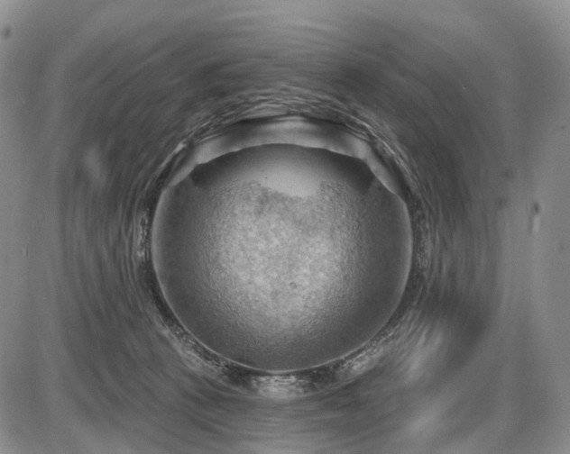 X0000087590273200704271315