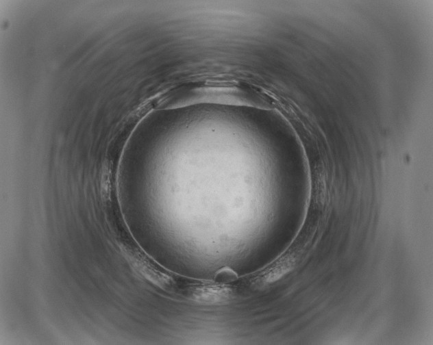 X0000087590274200704271315