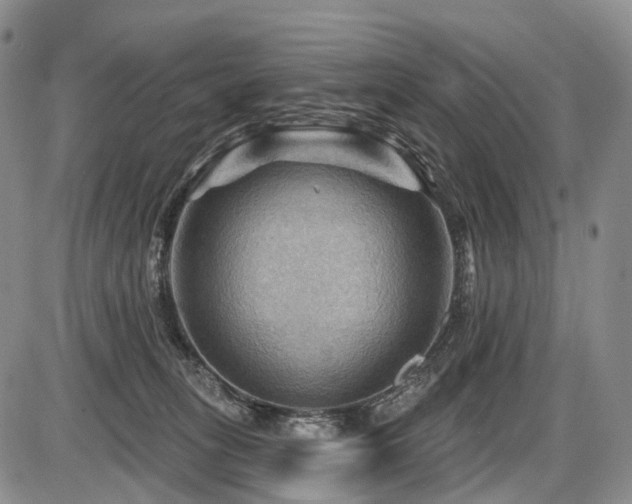 X0000087590275200704271315