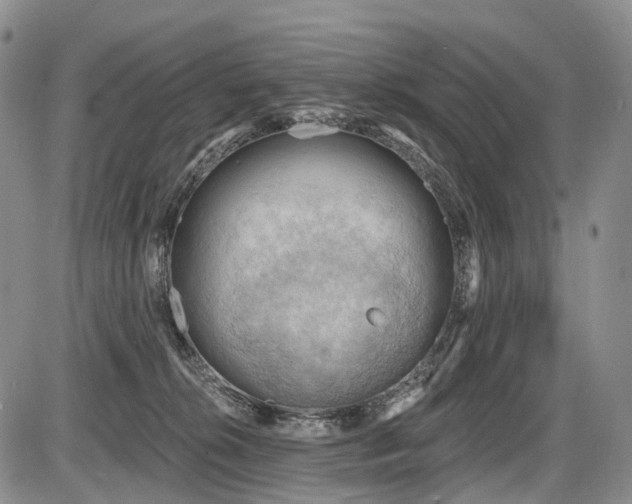 X0000087590276200704271315