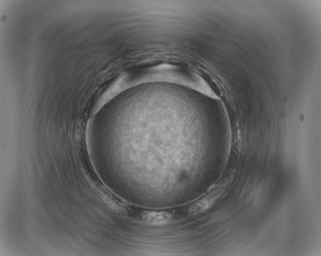 X0000087590277200704271315