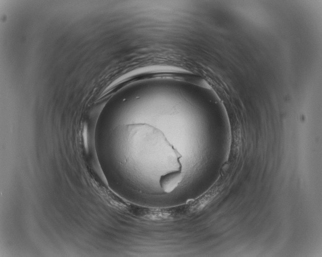 X0000087590278200704271315