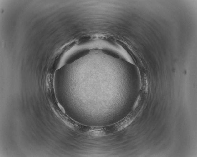 X0000087590280200704271315