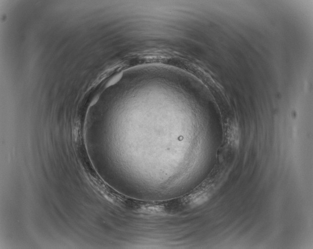 X0000087590283200704271315