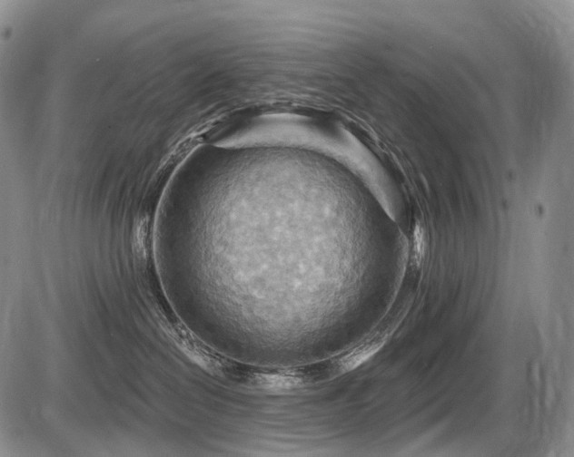 X0000087590286200704271315