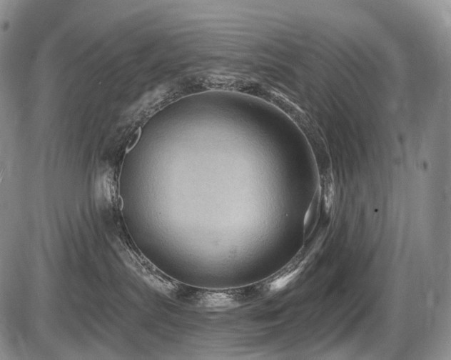 X0000087590287200704271315