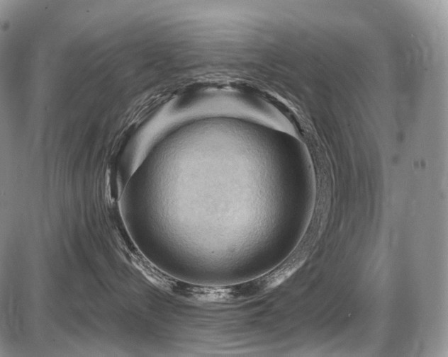 X0000087590288200704271315