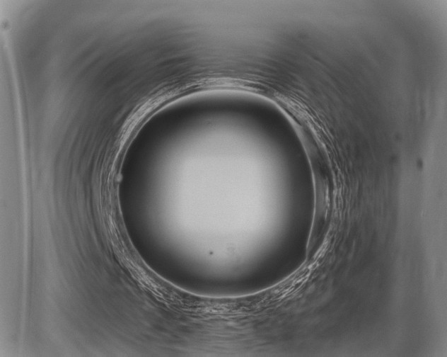 X0000087590289200704271314