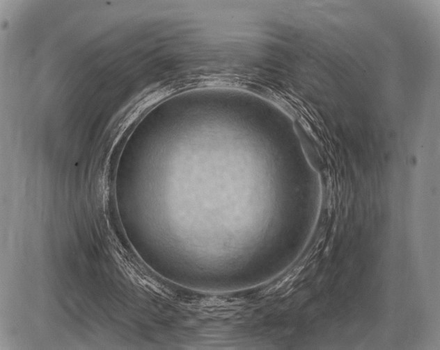 X0000087590290200704271314