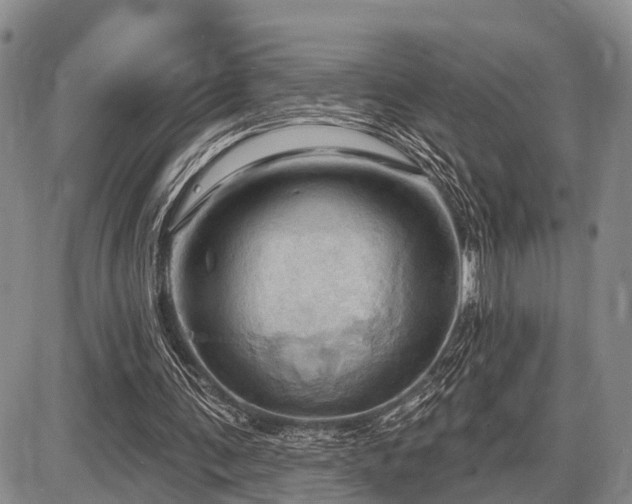 X0000087590291200704271314