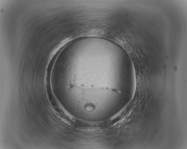 X0000087590292200704271314