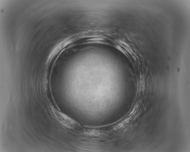 X0000087590293200704271314