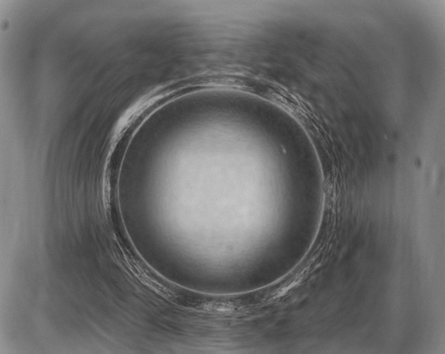 X0000087590294200704271314