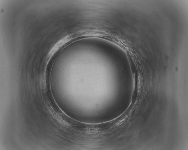 X0000087590296200704271314