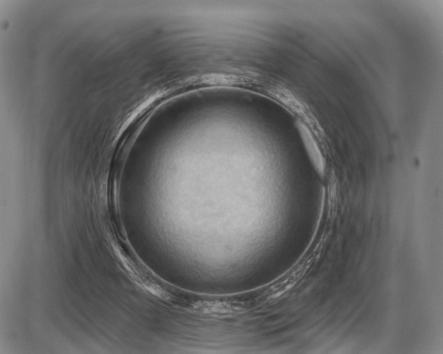 X0000087590297200704271314