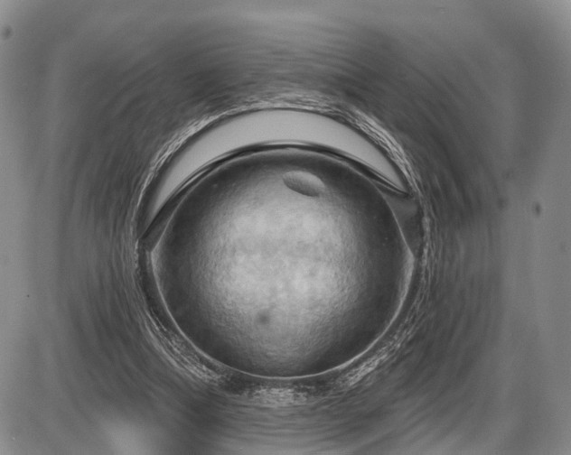 X0000087590298200704271314