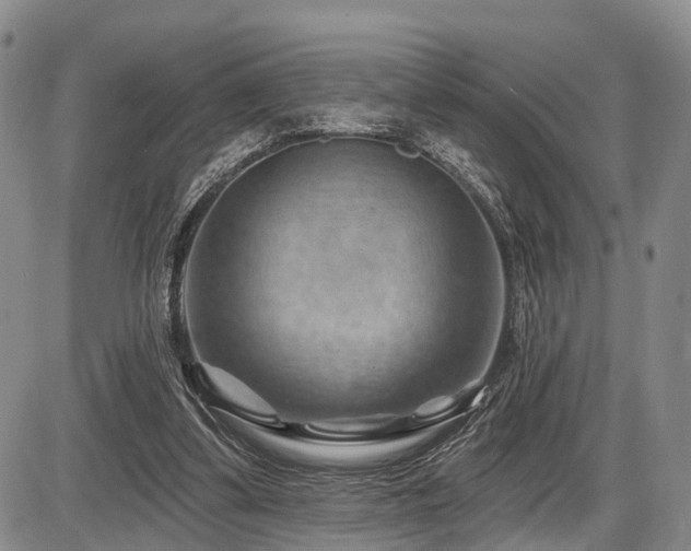 X0000087590299200704271314