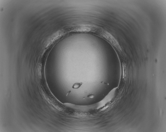 X0000087590300200704271314