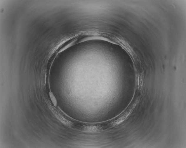 X0000087590301200704271314