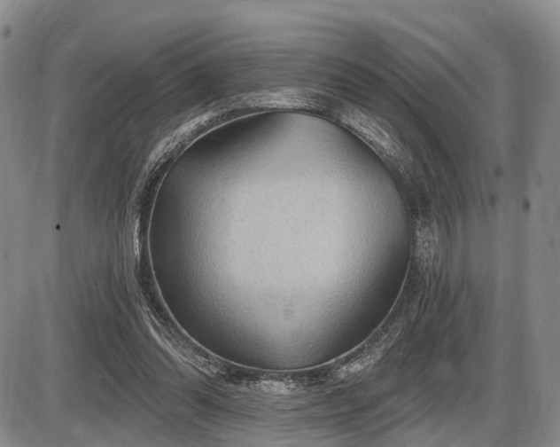 X0000087590302200704271314