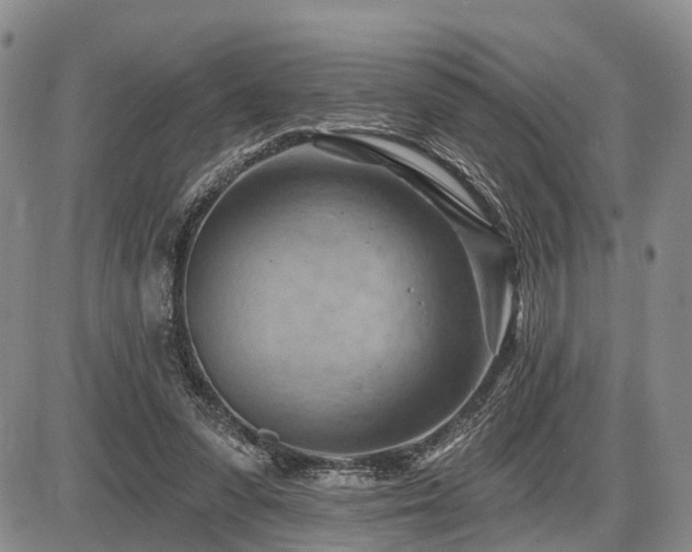 X0000087590303200704271314