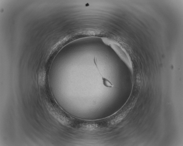 X0000087590304200704271314