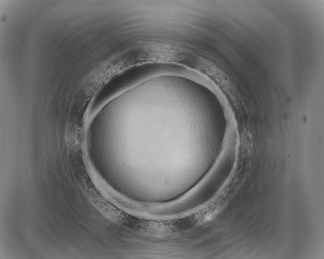 X0000087590305200704271314