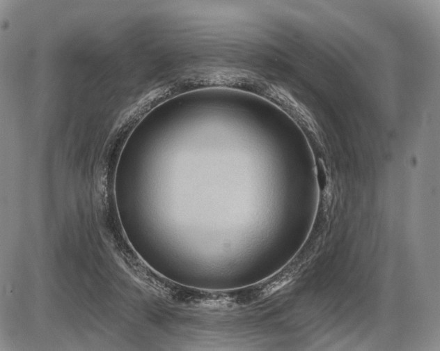 X0000087590306200704271314