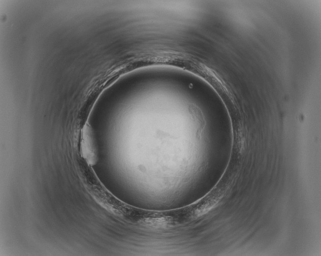 X0000087590307200704271314