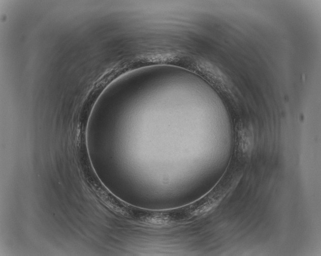 X0000087590308200704271314